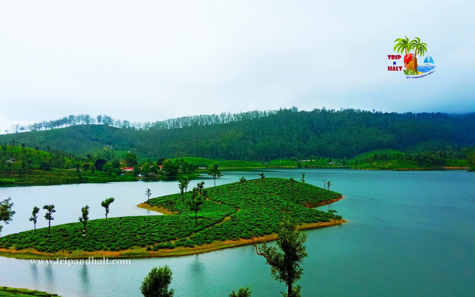 VALPARAI TOPSLIP ATHIRAPALLY TOUR PACKAGES 3 DAYS Tripandhalt