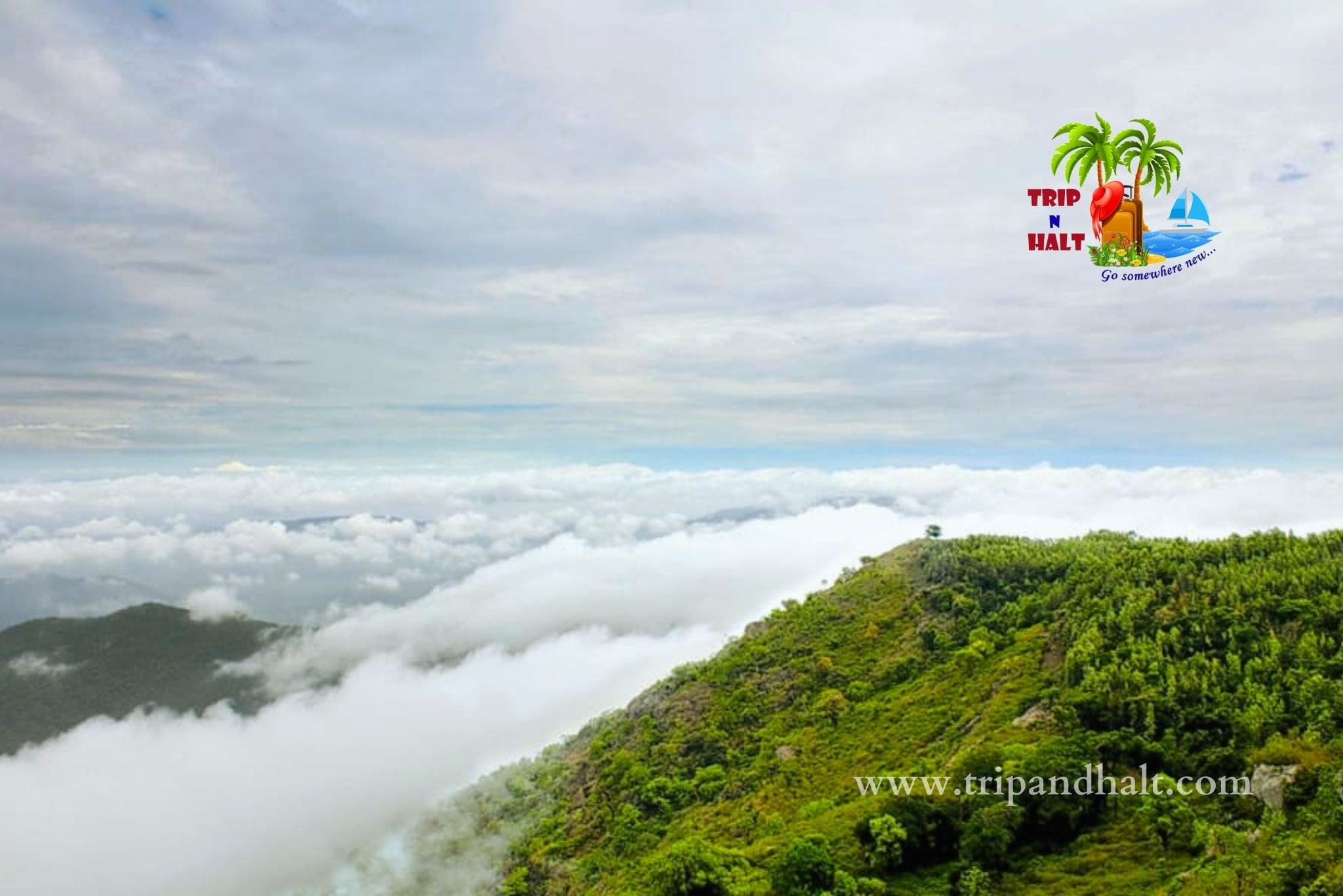 Yercaud tour packages 02 Days