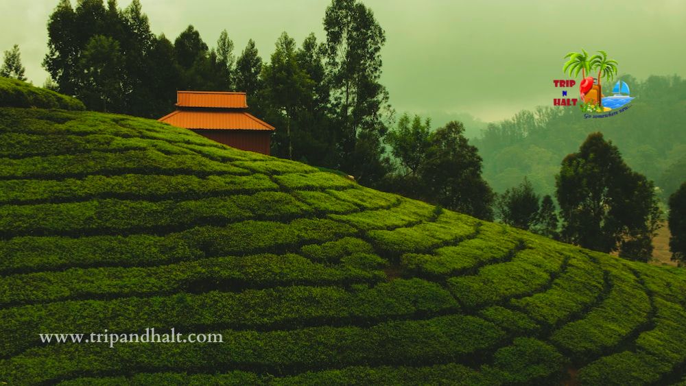 Ooty Family Tour Packages – 3 Days
