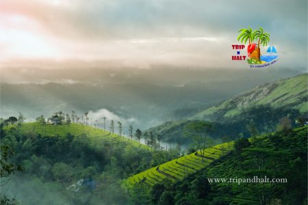 Munnar Tour Packages – 3 Days