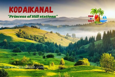 Kodaikanal Tour Packages – 3 Days