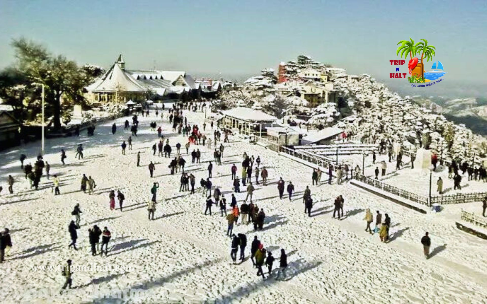 MANALI SHIMLA Tour Package 05 Days