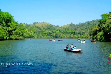 Wayanad Tour Packages 3 Days