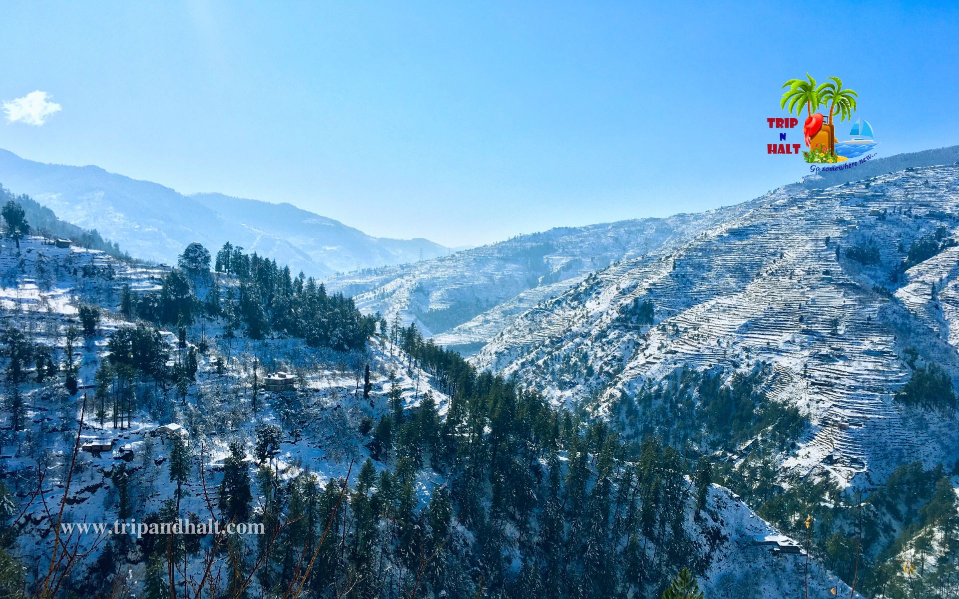 MANALI SHIMLA Tour Package 05 Days