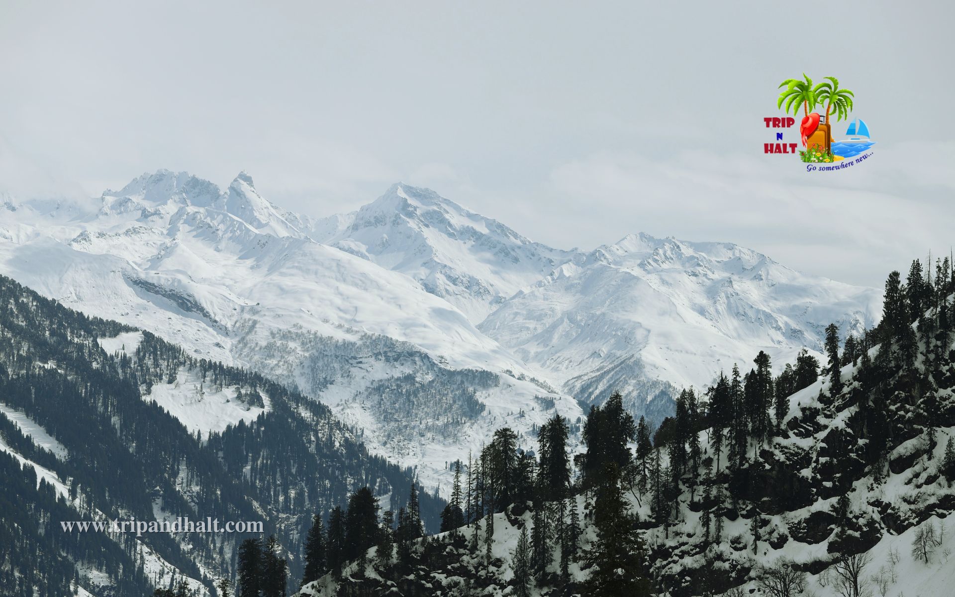 MANALI SHIMLA Tour Package 05 Days