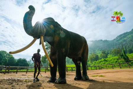 VALPARAI TOPSLIP  ATHIRAPALLY TOUR PACKAGES 3 DAYS