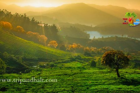 Ooty Family Tour Packages – 3 Days