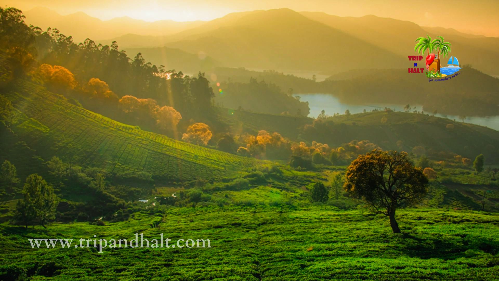 Ooty Honeymoon Tour Packages – 3 Days