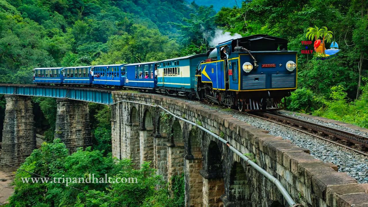 Ooty Toy Train Timing & Ticket Fees