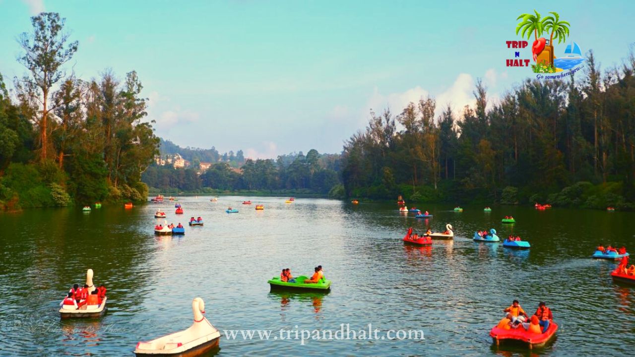 Ooty Honeymoon Tour Packages – 3 Days