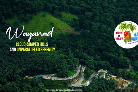 Wayanad Honeymoon Packages